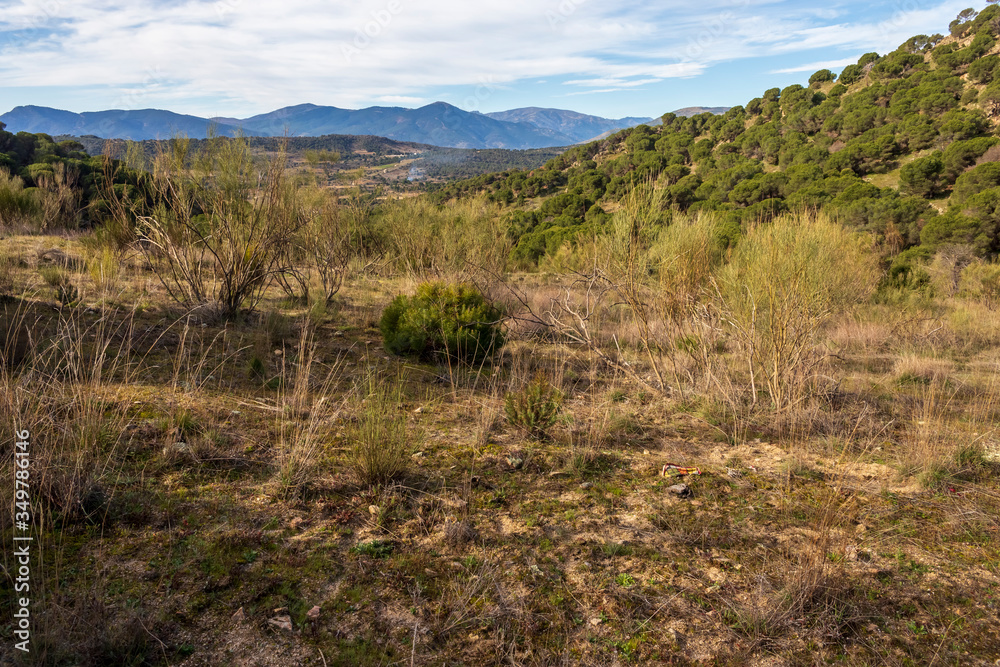 Sierra de Gredos desde el cerro de la Zorra en Cebreros. Avila. España. Europa.