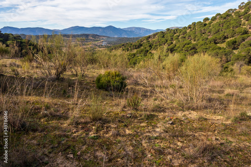 Sierra de Gredos desde el cerro de la Zorra en Cebreros. Avila. España. Europa.