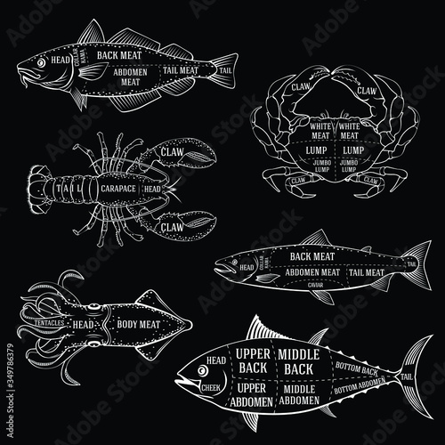 Fishmonger diagram guide for cutting fish and seafood