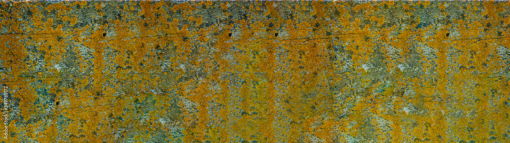Rectangular structure background with lichens Rectangular structure background with lichens