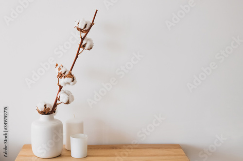 A branch of a cotton in vase at minimalistic interior.