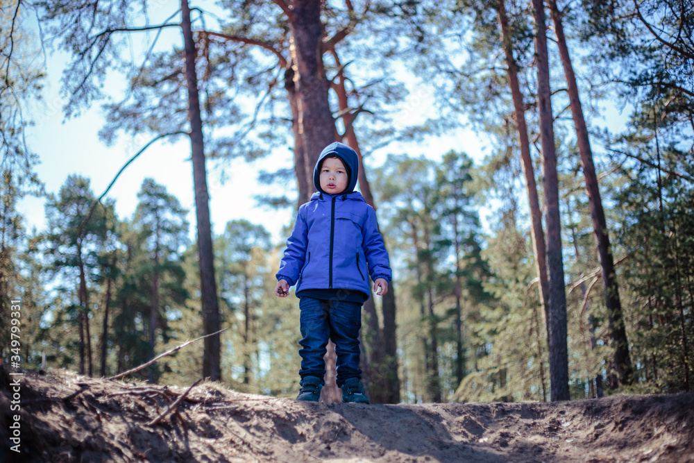 Little boy alone in a spring forest Little boy alone in a spring forest