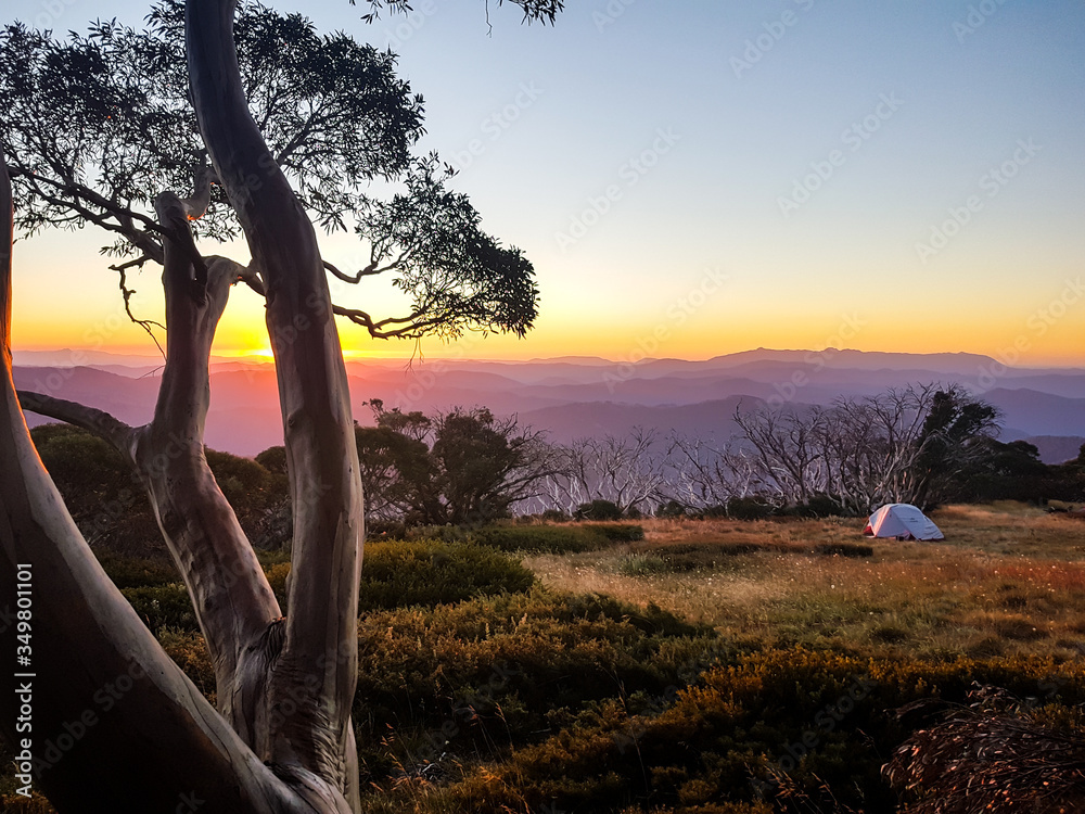 Fototapeta premium perfect sunset from razorback ridge on mt hotham melbourne victoria