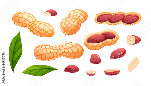 Peanut set, many views, single objects, isolated