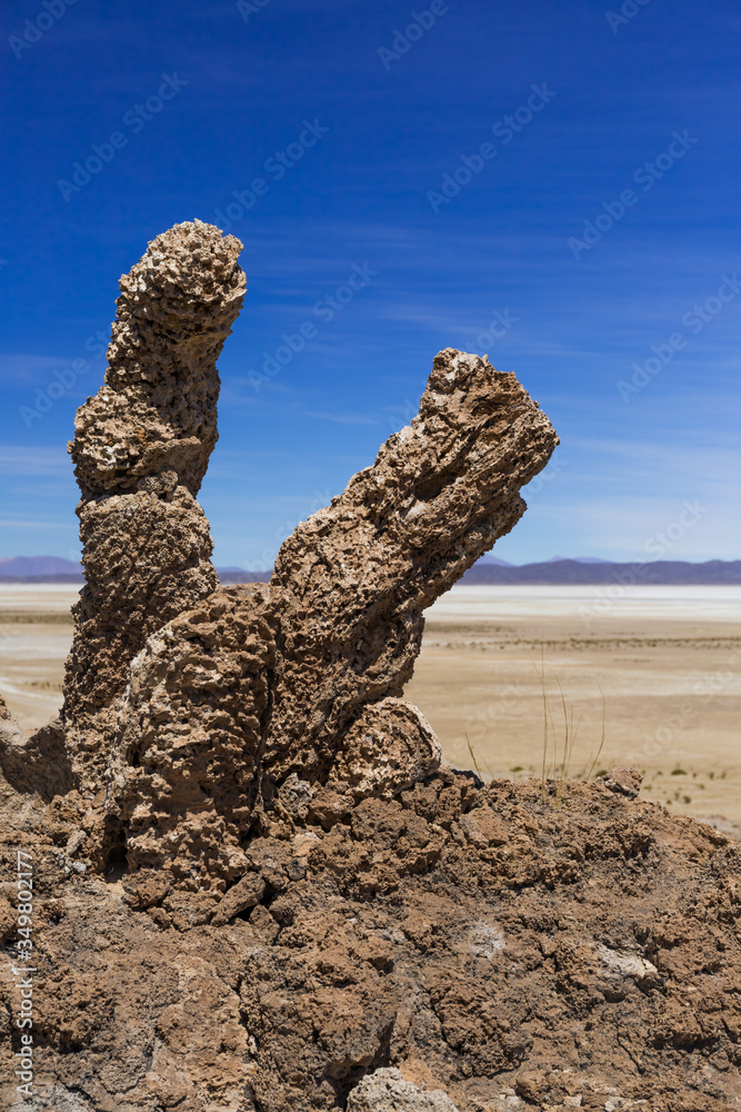 petrified cactus in Bolivia near Uyuni petrified cactus in Bolivia near Uyuni