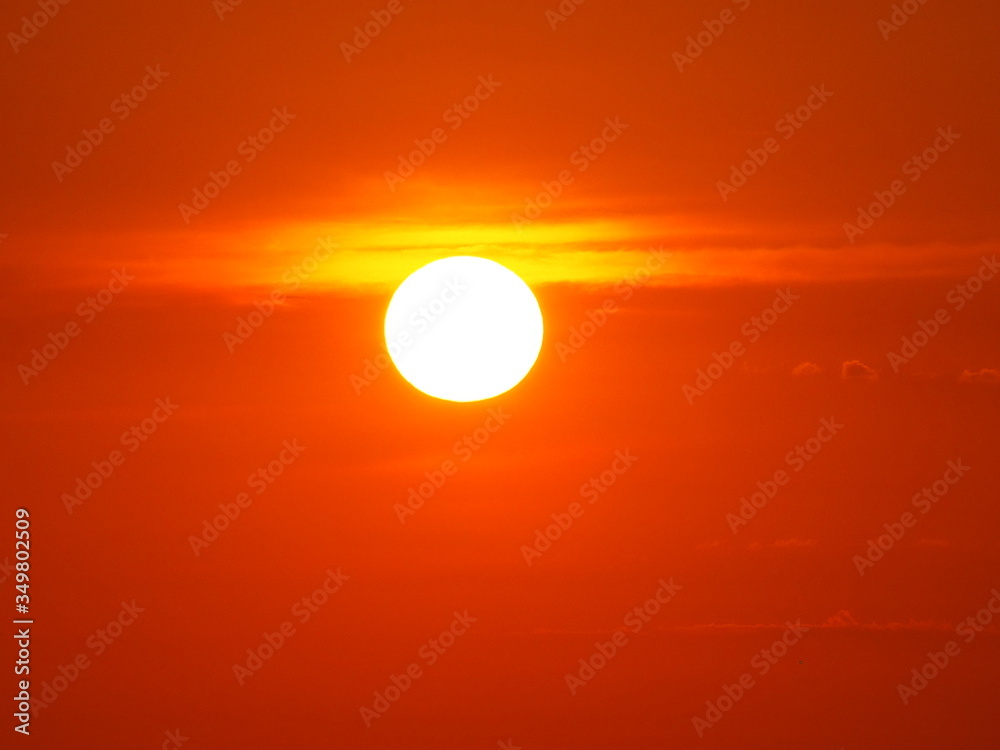 Obraz premium OLYMPUS DIGITAL CAMERA