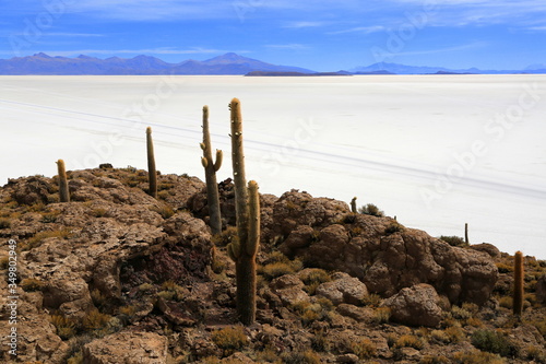 Salar de Uyuni in Bolivia © roca83