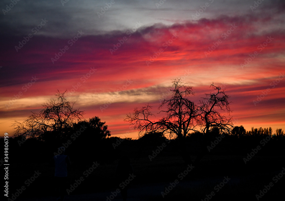 Fototapeta premium Dramatic sunset, with ghost tree and full moon