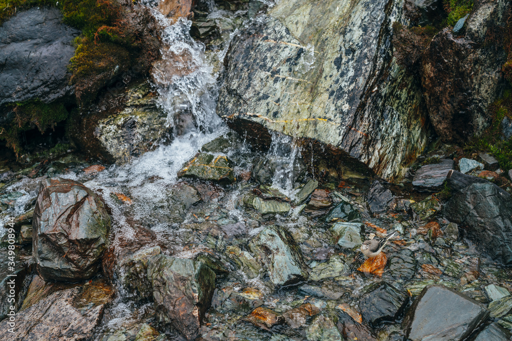 Scenic background with clear spring water stream among stones with ...