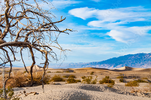 Mesquite Flat Dunes