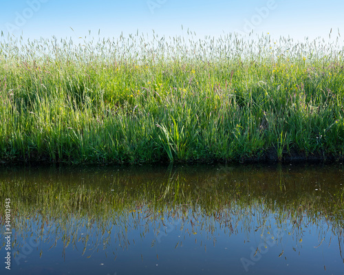 grass and flowers in meadow under blue sky reflected in water of canal