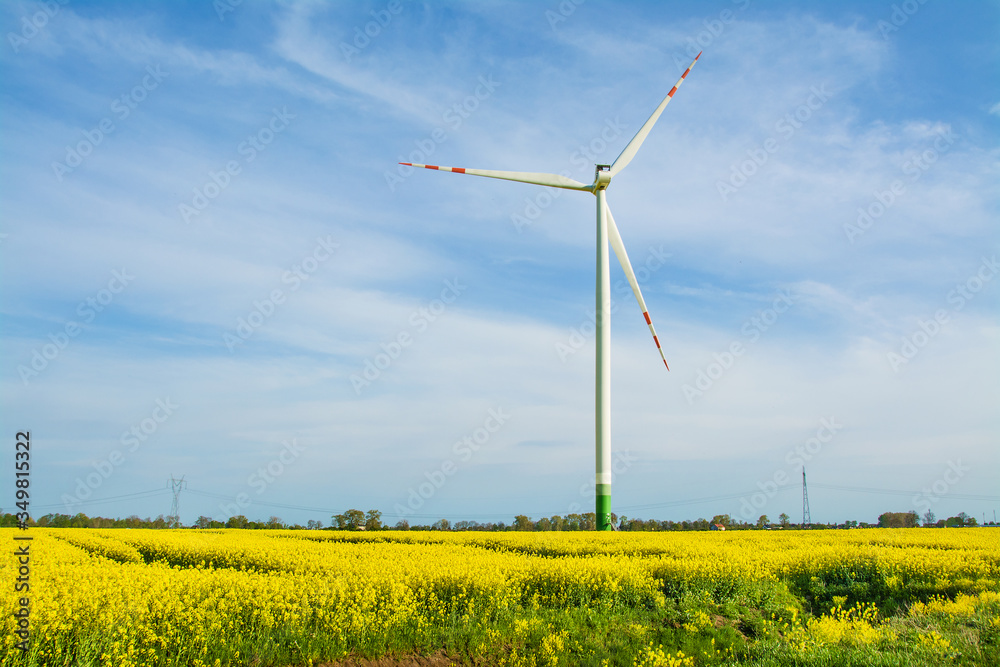 Green energy, wind farm and rapeseed field. Beautiful landscape in Poland. Green energy, wind farm and rapeseed field. Beautiful landscape in Poland.