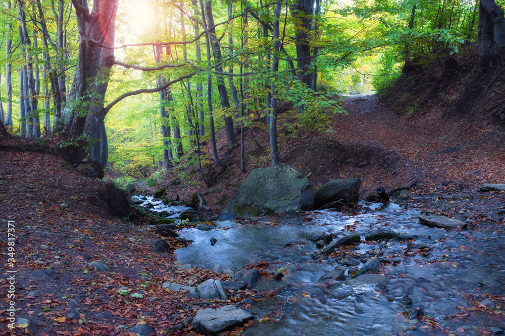 Beautiful forest with creek in a golden autumn nature. Beauty world of fall colors landscape Beautiful forest with creek in a golden autumn nature. Beauty world of fall colors landscape