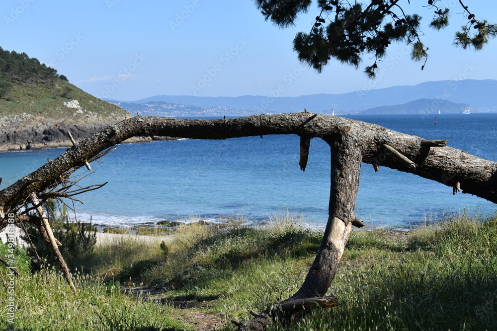 Fototapeta premium Fondo