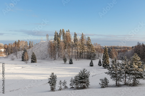 Snowy pine trees on a hill. Christmas mood. Frosty sunny day.