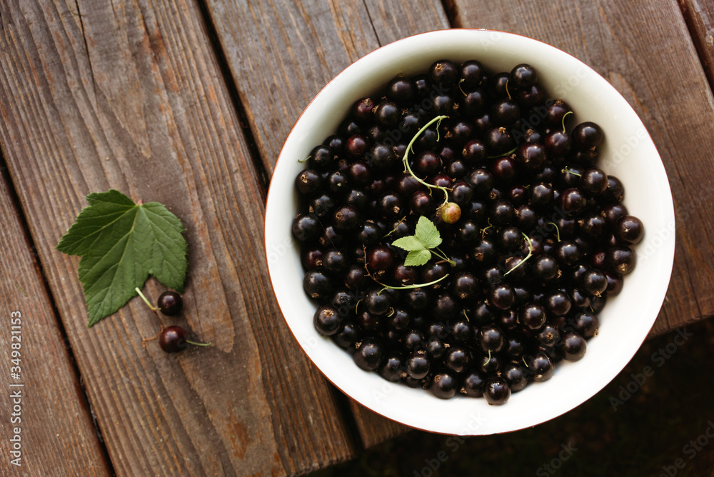 Berries of ripe black currant just plucked from a bush in the garden on a summer day. Berries of ripe black currant just plucked from a bush in the garden on a summer day.