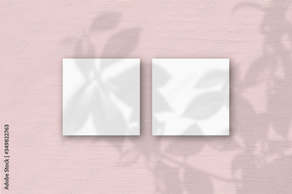 2 square sheets of white textured paper on the pink wall background. Mockup overlay with the plant shadows. Natural light casts shadows from an exotic plant.. Flat lay, top view 2 square sheets of white textured paper on the pink wall background. Mockup overlay with the plant shadows. Natural light casts shadows from an exotic plant.. Flat lay, top view