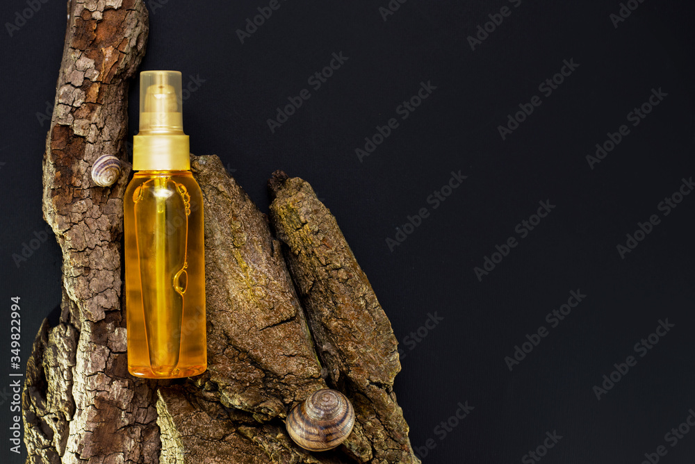 cosmetic bottle oil and wood with shells on black background with copy space - obrazy, fototapety, plakaty 