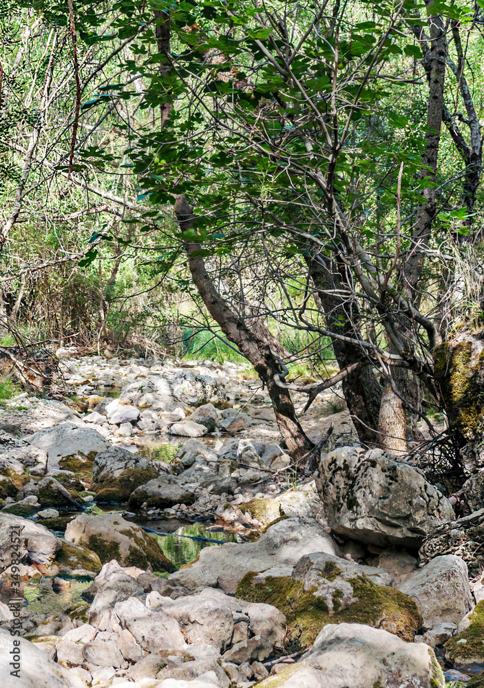 Mountains of Sierra de Cazorla in Andalusia in a sunny day in the south of Spain