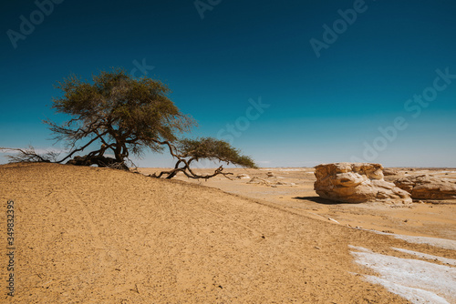 White desert © Tadej