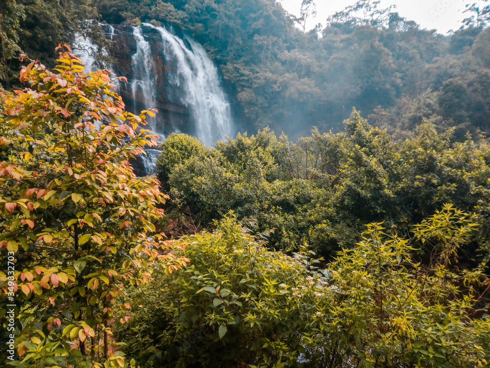 waterfall in autumn forest waterfall in autumn forest