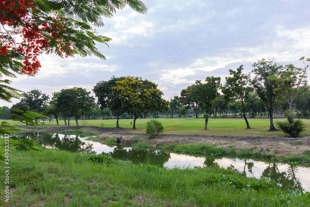 golf course with lush grass and the reflection of the trees in the pool makes it a beautiful view golf course with lush grass and the reflection of the trees in the pool makes it a beautiful view
