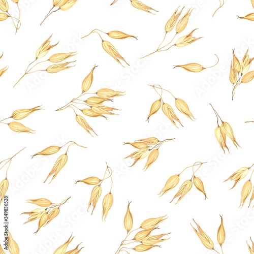 Scattered ear of oats, seamless pattern. Cereal plants, organic products for oatmeal, healthy breakfast, oatmeal packaging design, kitchen textiles. Vector illustration oat in watercolor style.