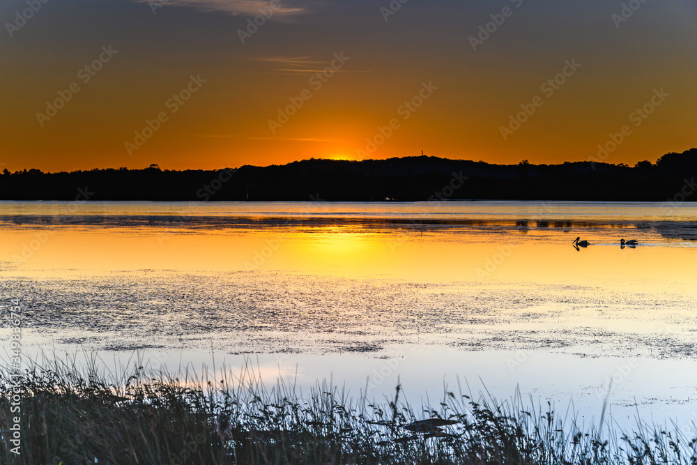 Sunrise and Pelicans Bay Waterscape