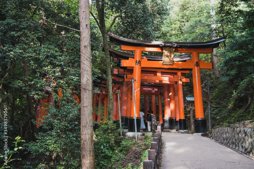 Toriis en el santuario Fushimi Inari en Kioto Toriis en el santuario Fushimi Inari en Kioto