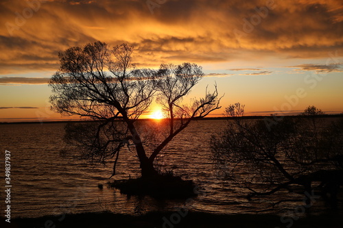 Wild sunset on the lake.Through the branches of the tree, a view of the intensely burning sky with continuous clouds of mixed dark colors over the lake.A bright horizon divides the darkness.Russia