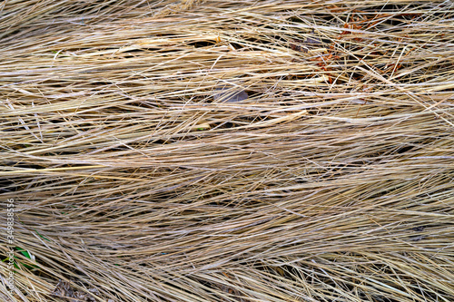 background of a aged dry straw withered heap of grass