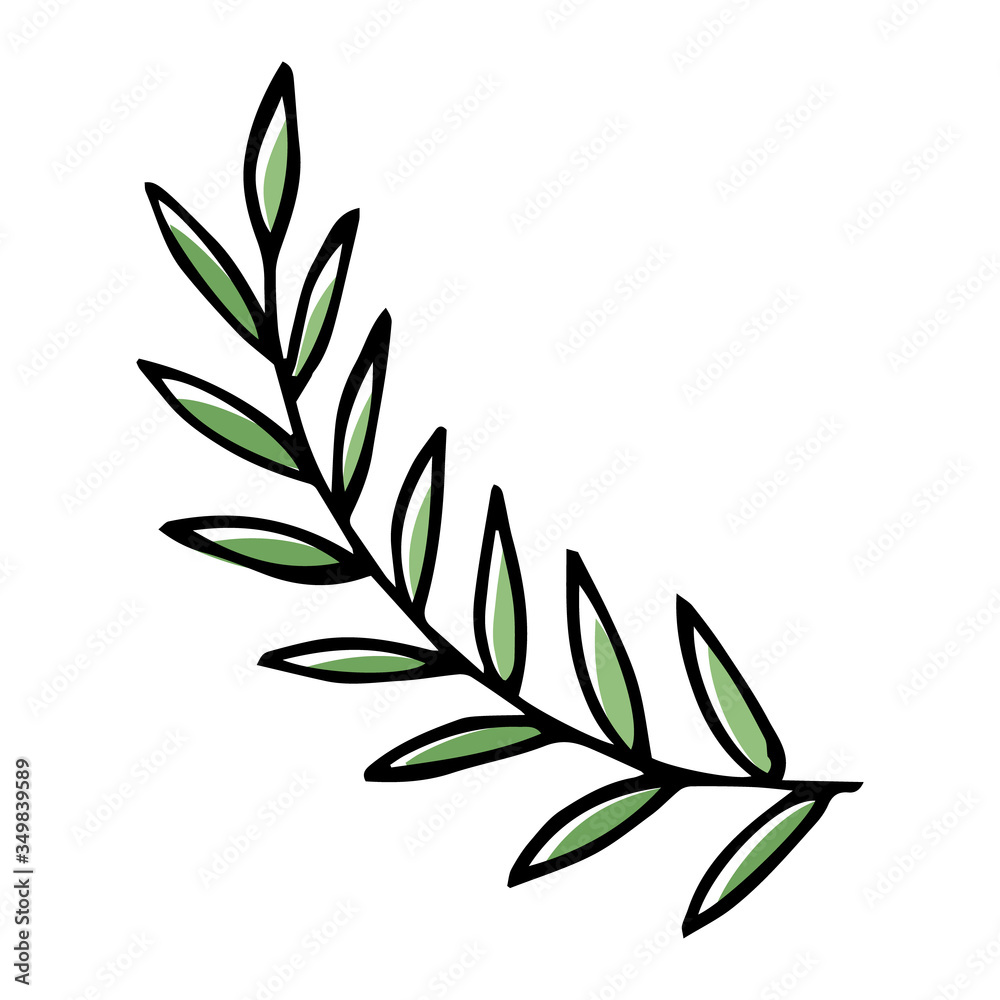 Twig in doodle style. For greeting cards, logo. Hand drawn vector illustration in black ink. Isolated outline.