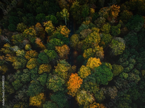 Aerial shots from the Eilenriede in Autumn Colors in Hannover, Germany.