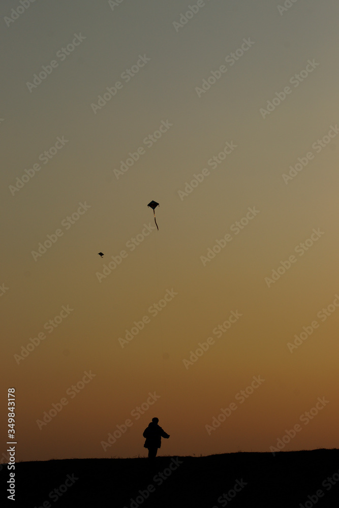 silhouette of  kites on sunset