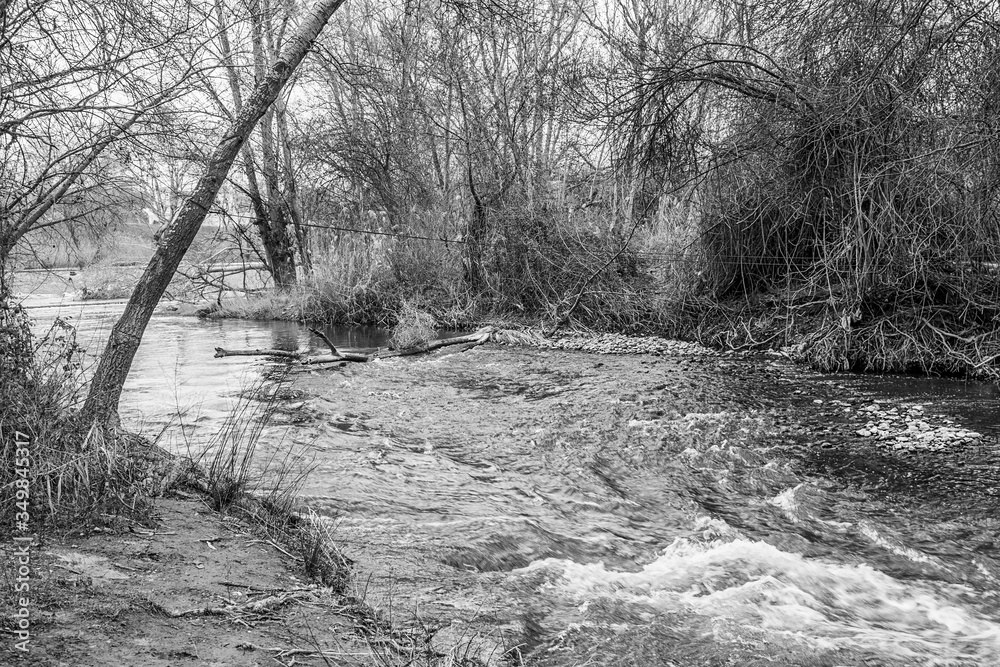 Fototapeta Henares river as it passes through Alcalá de Henares in winter: after the dam at the boatman's house.