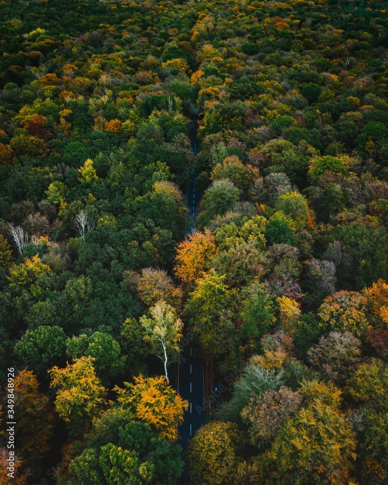 Aerial shots from the city forest Eilenriede in Autumn Colors in Hannover, Germany.