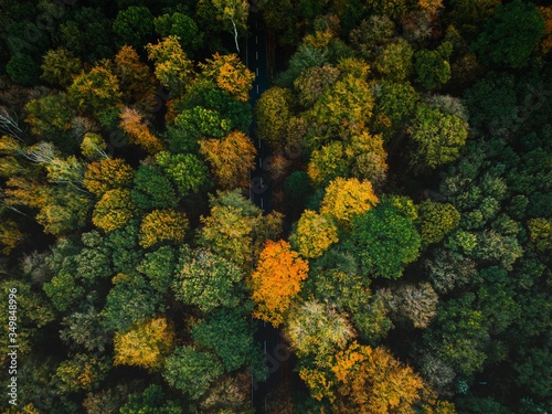 Fototapeta Naklejka Na Ścianę i Meble -  Aerial shots from the city forest Eilenriede in Autumn Colors in Hannover, Germany.