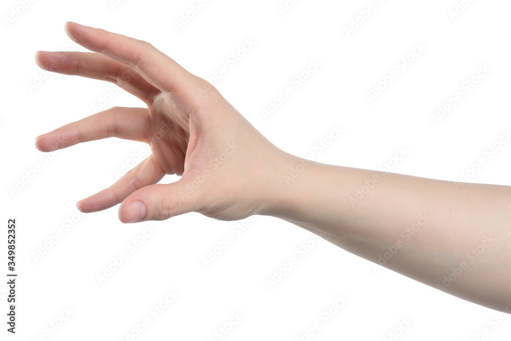 Hand reaches to something, isolated with clipping path on white background