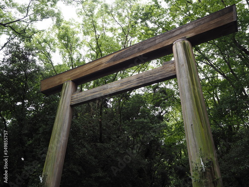 雨上がりの熱田神宮の木の鳥居（愛知県名古屋市）