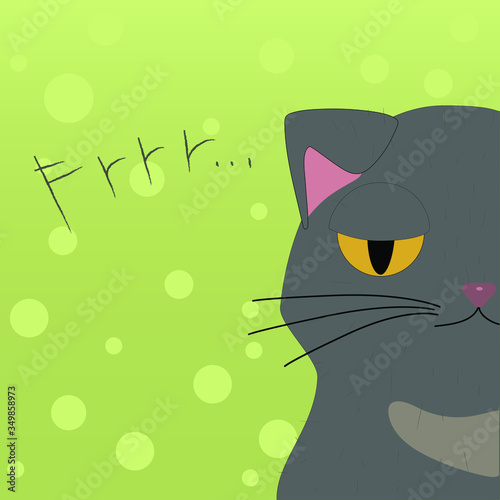 cute cat with a sarcastic look. Doodle inscription frrr. green bubble background. cute flat illustration for cat lovers