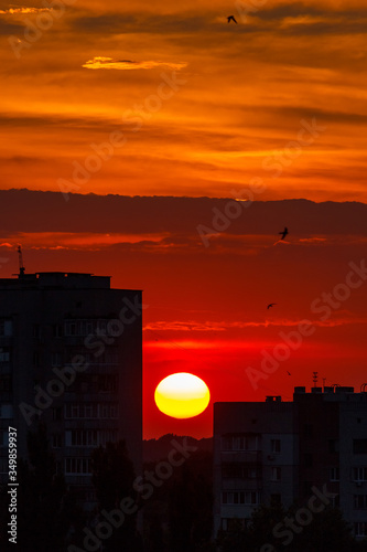 sunset with big sun and orange sky over the city