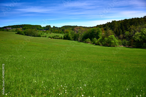 summer landscape with green grass and sky