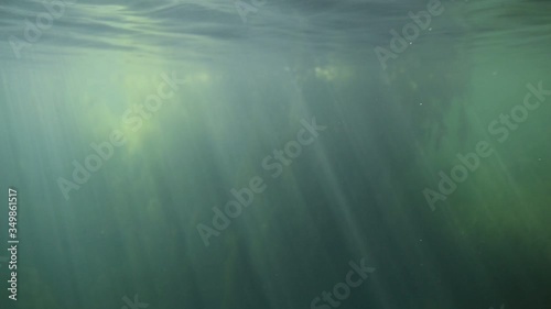 underwater video background depth reef, coral reef in the warm sea