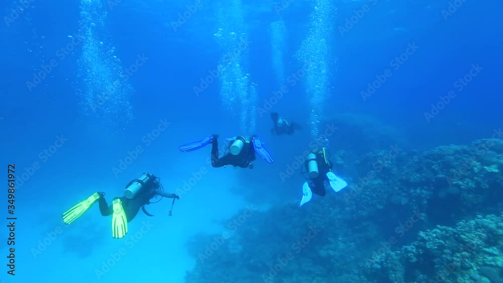 scuba divers underwater, coral reef in the red sea, egypt tourism underwater, diving scuba divers underwater, coral reef in the red sea, egypt tourism underwater, diving