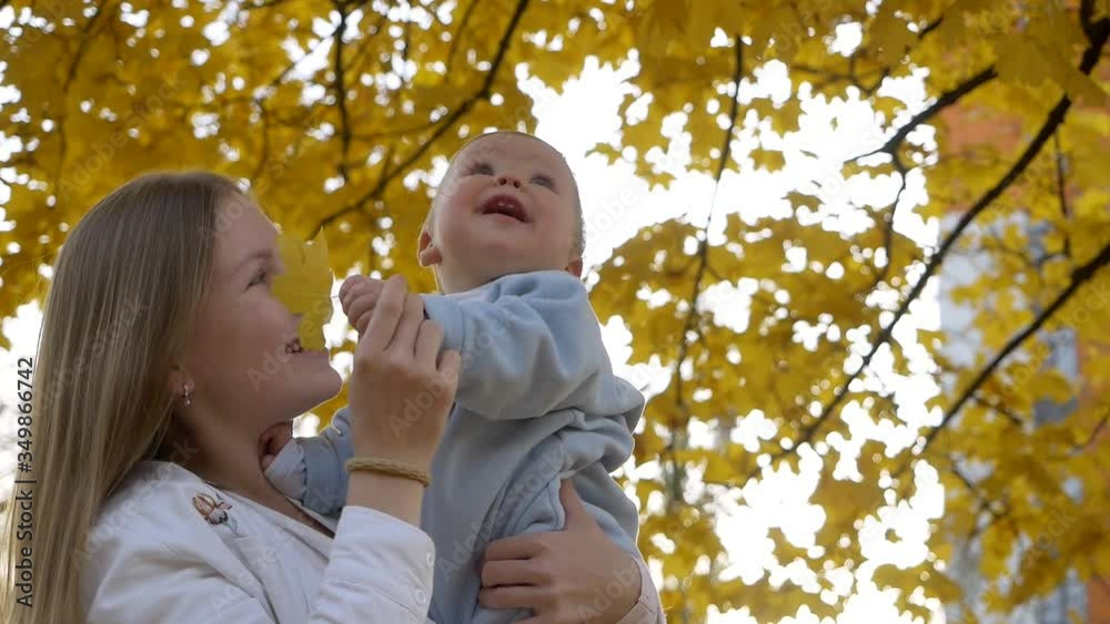 A young attractive mom in a good mood plays with a little cute child in the autumn on the nature, admires and plays with maple yellow leaves. Bokeh and sunlight. A young attractive mom in a good mood plays with a little cute child in the autumn on the nature, admires and plays with maple yellow leaves. Bokeh and sunlight.