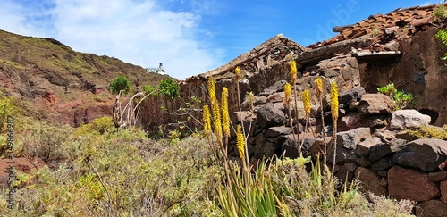 Ruin and lighthouse