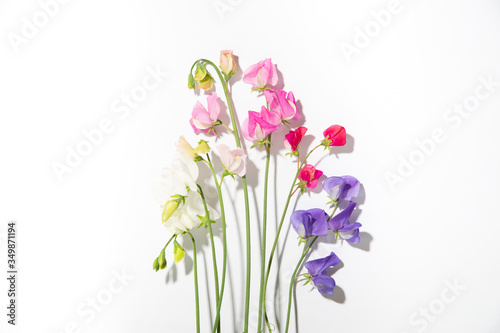 Sweet peas on white