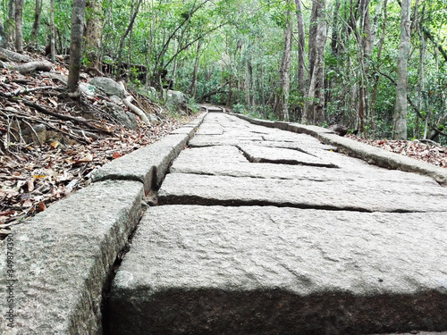 footpath in the forest ritigala  photo