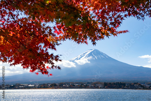 Fuji Mountain and Red Maple Leaves in Autumn at Kawaguchiko Lake  Japan