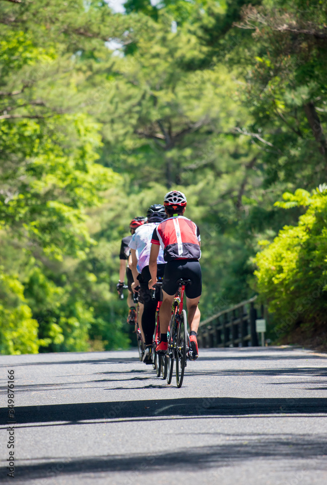 Obraz premium Ludzie jeżdżący na rowerach w letnim parku